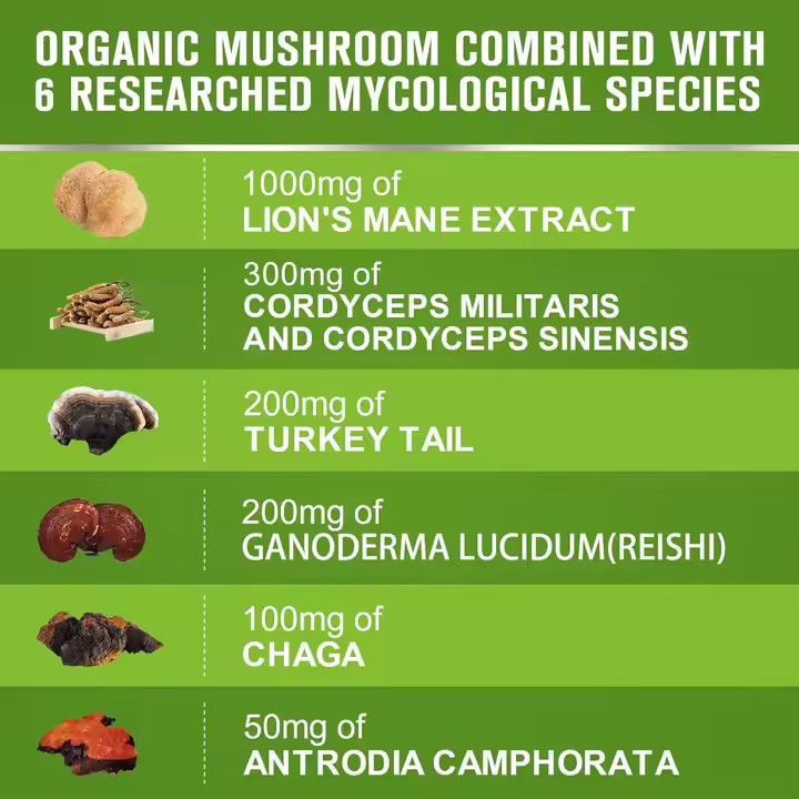 OEM Organic Lion's Mane Capsules with Turkey Tail Supplement Wspiera pamięć Zdrowie mózgu