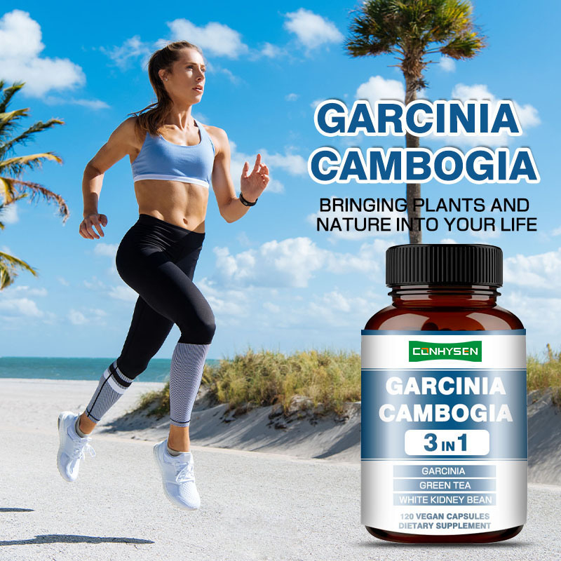 Premium Custom Garcinia Cambogia Kapsułki białe fasola nerkowe suplement do produkcji energii