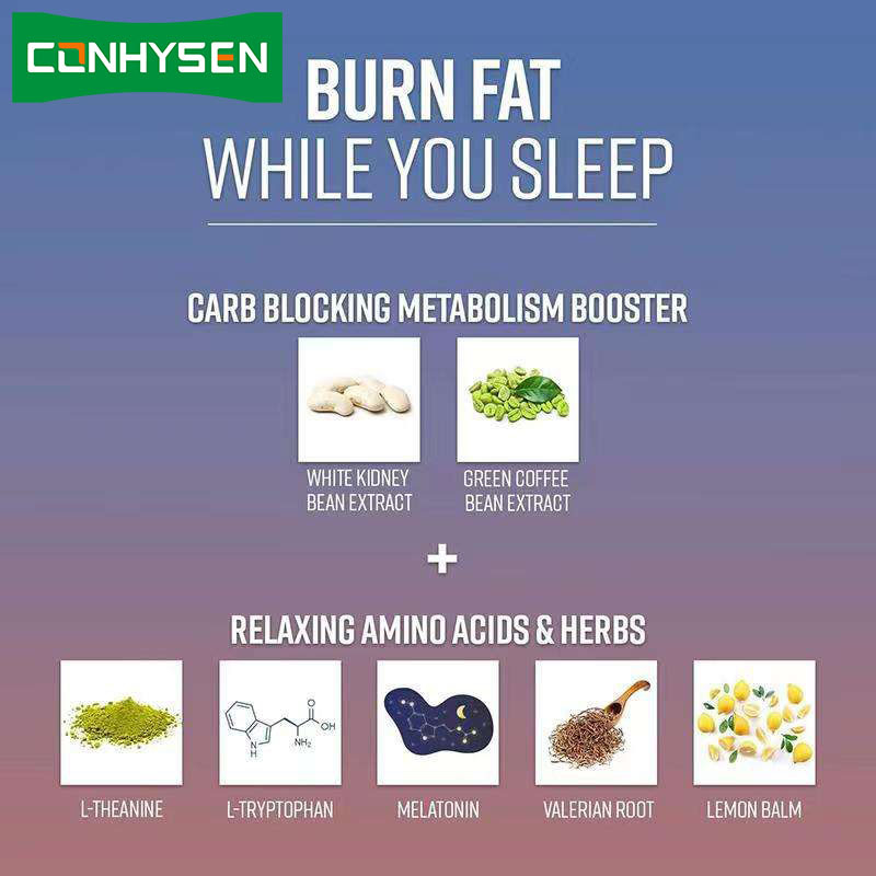 OEM Night Time Fat Burner Carb Blocker Booster metabolizmu i hamulec apetytu dla mężczyzn i kobiet Kapsułki Night Time Fat Burner