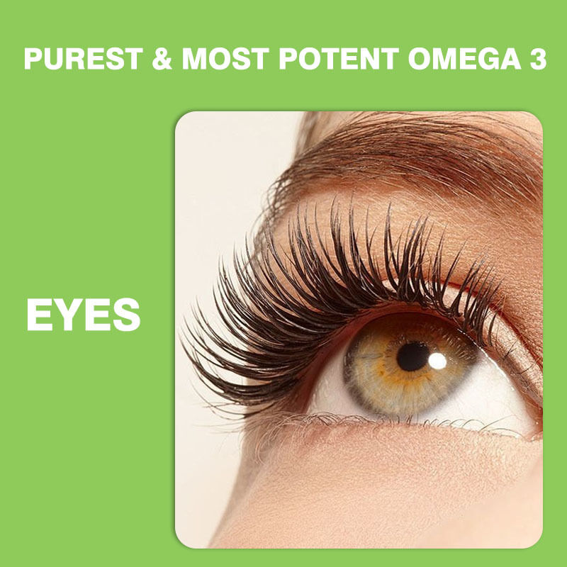 Najlepiej sprzedawane Omega 3-6-9 Gummy dla dzieci i dorosłych Suplementy witaminowe dla mózgu i serca Suplementy DHA dla nastolatków