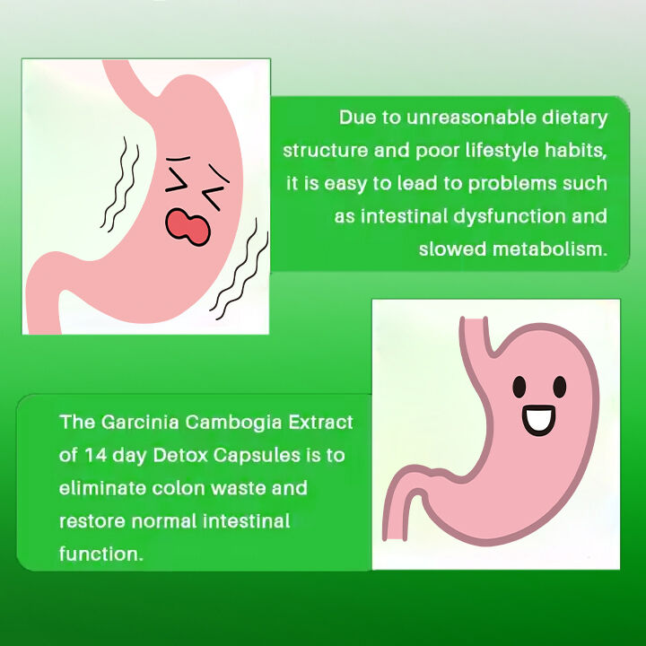 Kapsułki wyszczuplające OEM ODM 14-dniowe, szybko działające środki hamujące apetyt i tabletki spalające tłuszcz dla dorosłych, błonnik pokarmowy